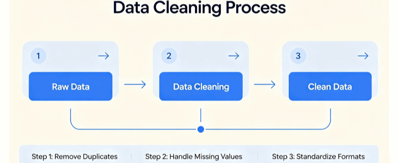 Data Cleansing & Scrubbing